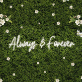 Always and Forever Neon Sign for Wedding & Room Decor